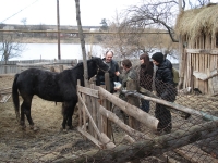 Новости «МедиаПорт» (Харьков)  в СПАРТЕ. 19 марта 2009 г